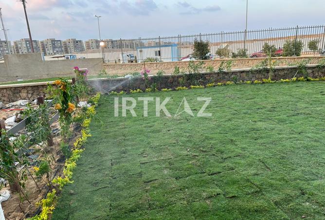 8038303 - صورة العقار 3