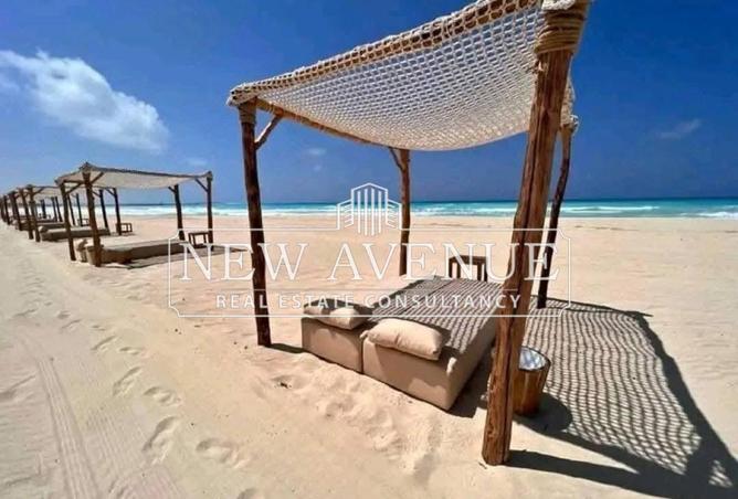 8315202 - Property Image 2