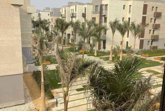 8245253 - صورة العقار 3