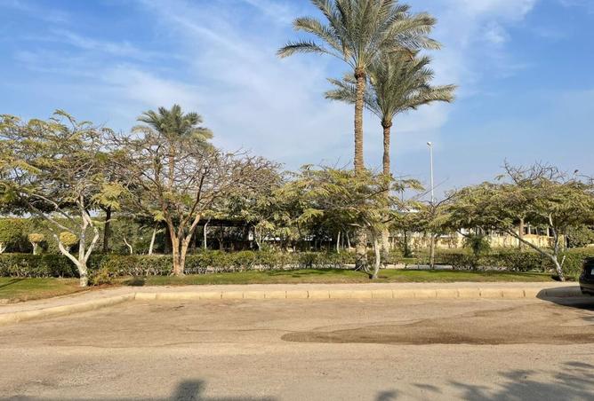 7975510 - Property Image 3