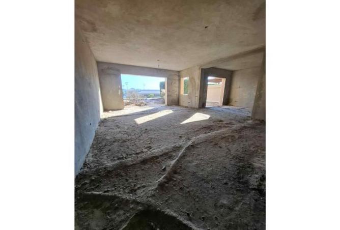 8230401 - Property Image 3