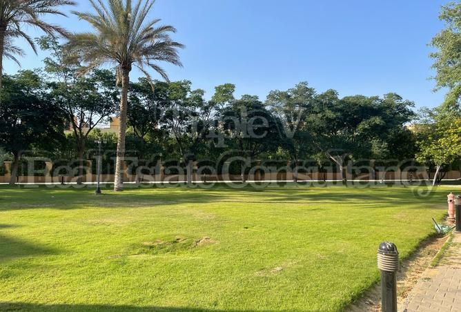 8134784 - Property Image 3