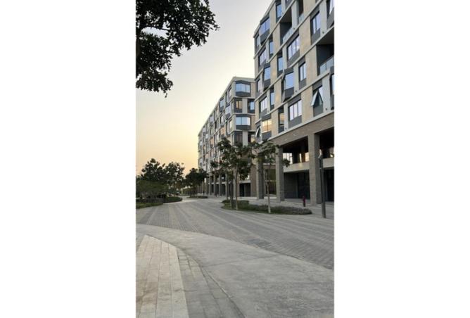 8383475 - Property Image 3