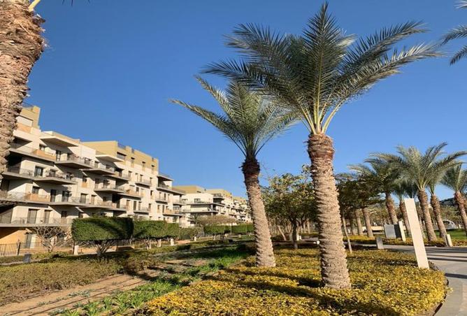 8159609 - صورة العقار 3