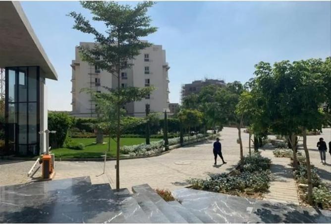 8067698 - صورة العقار 2