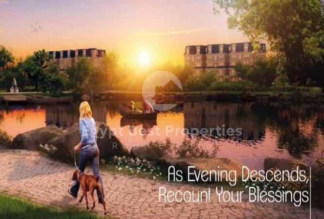 8561690 - Property Image 3