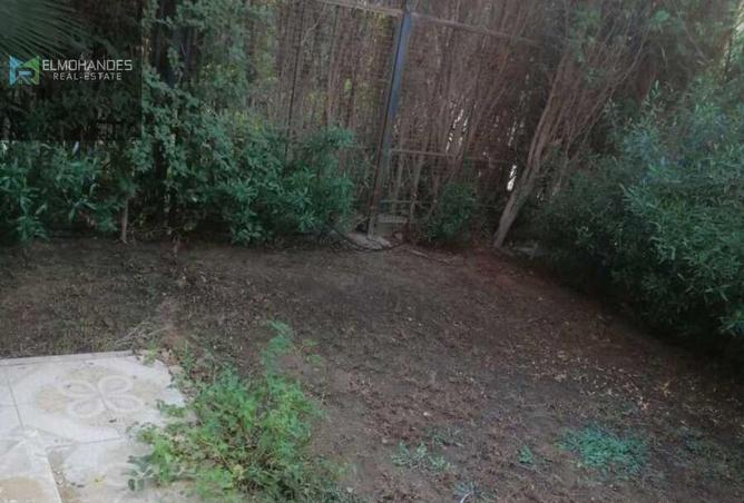 8433294 - Property Image 2