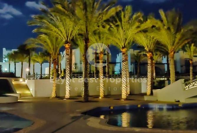 8316607 - Property Image 3