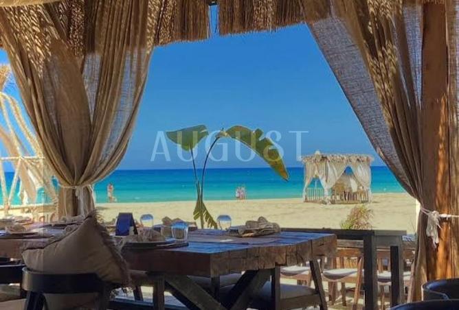 8204365 - Property Image 3