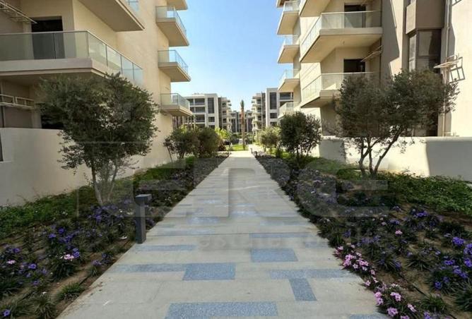 8098808 - Property Image 3