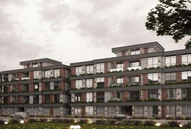 8377399 - Property Image 3