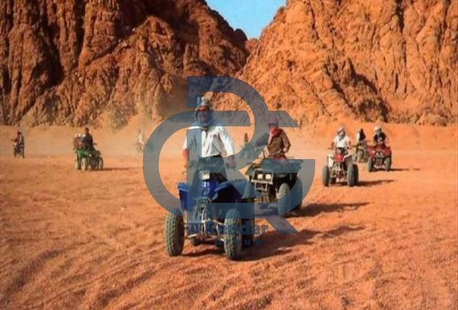 8353489 - الصورة الرئيسية للعقار