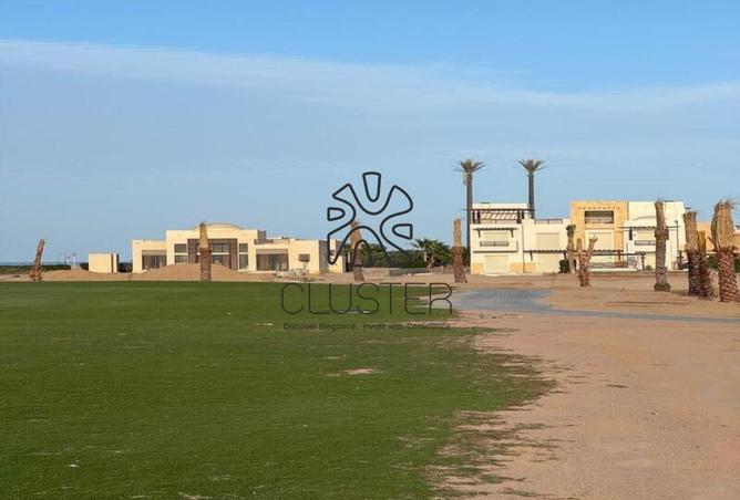 8529436 - صورة العقار 3