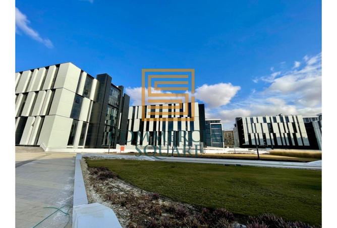 8274291 - Property Image 3