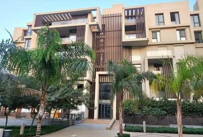 8269174 - Property Image 3