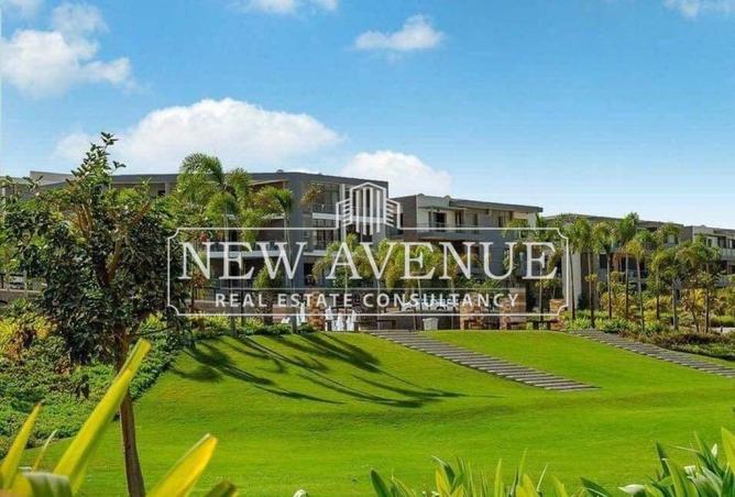 8164581 - صورة العقار 3