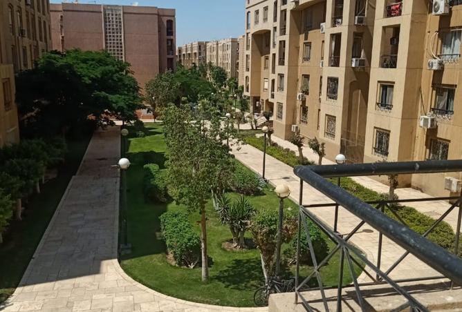 7965390 - الصورة الرئيسية للعقار