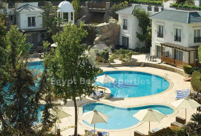 8384088 - Property Image 3