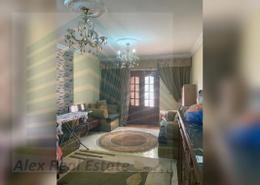 شقة - 3 غرف نوم - 1 حمام for للايجار in شارع زكريا غنيم - الإبراهيمية - حي وسط - الاسكندرية