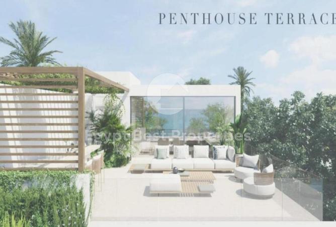 8019096 - Property Image 3