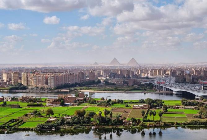 7908142 - صورة العقار 2