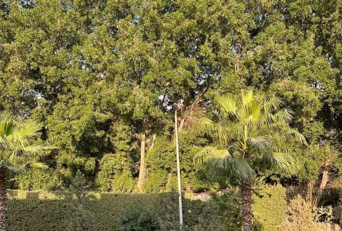 8324970 - Property Image 2