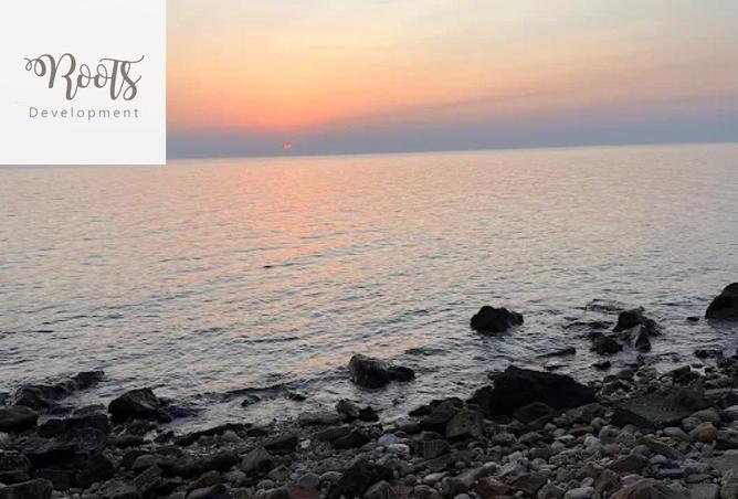 8239724 - الصورة الرئيسية للعقار