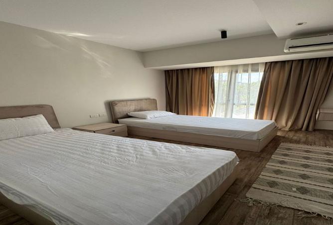 8371529 - Property Image 3