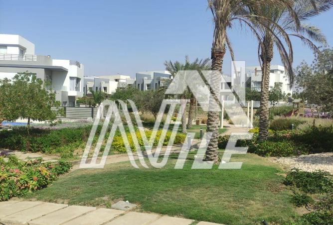 7963772 - الصورة الرئيسية للعقار