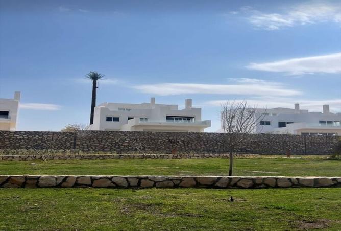 8196076 - Property Image 2