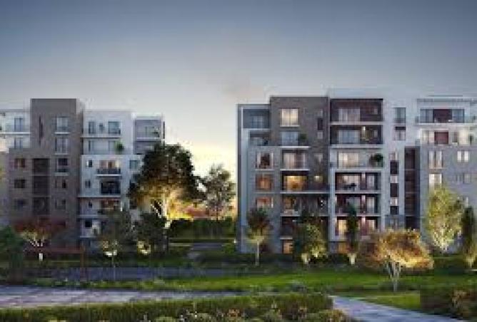 8431274 - Property Image 2