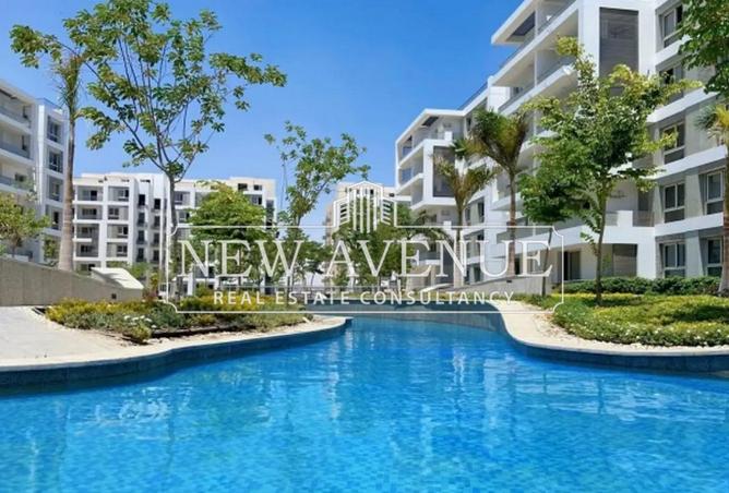 8225248 - Property Image 3