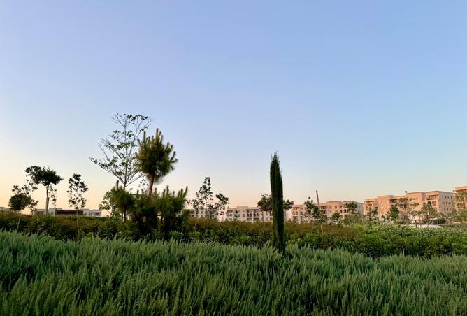 7908985 - صورة العقار 3