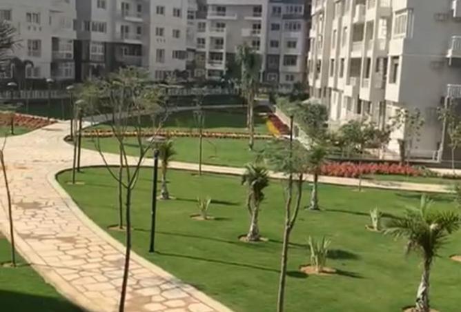 8104252 - صورة العقار 3