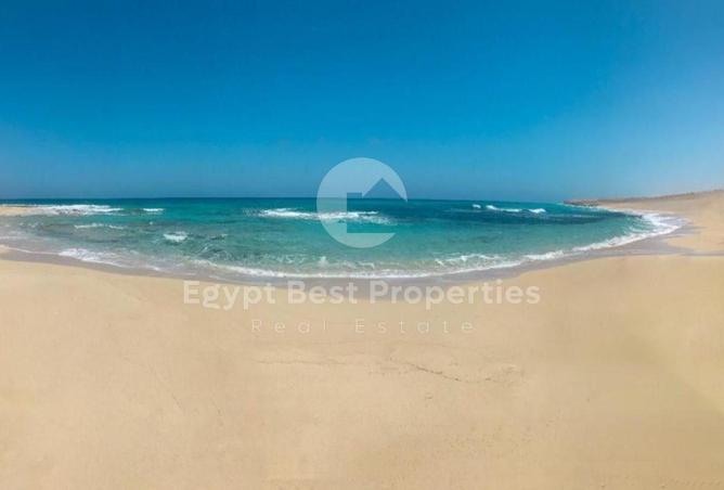 7961453 - الصورة الرئيسية للعقار