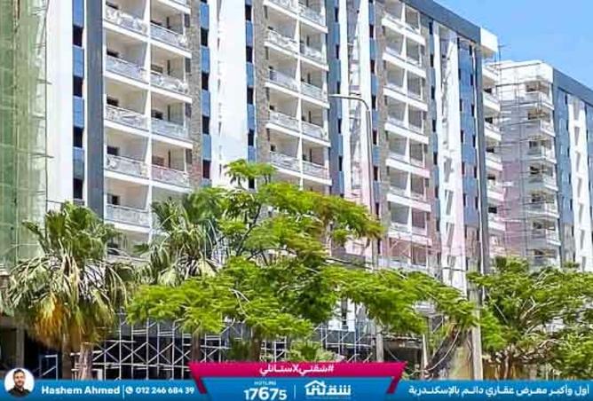 8553679 - صورة العقار 3