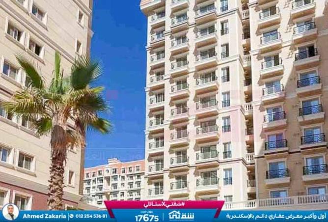 8437163 - Property Image 3