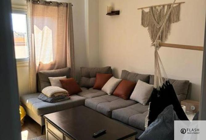 8082479 - Property Image 3