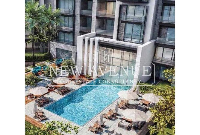 8165292 - Property Image 2