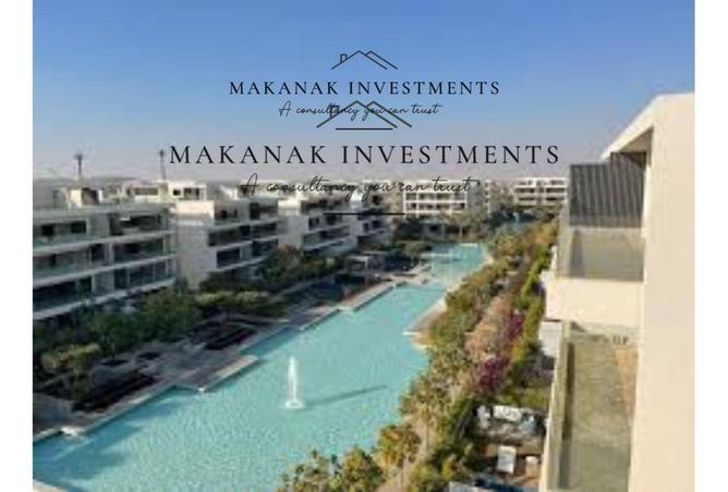 8421628 - Property Image 2