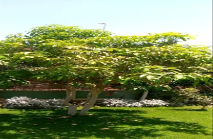Apartment - 3 Bedrooms - 3 Bathrooms for sale in Village West - Sheikh Zayed Compounds - Sheikh Zayed City - Giza