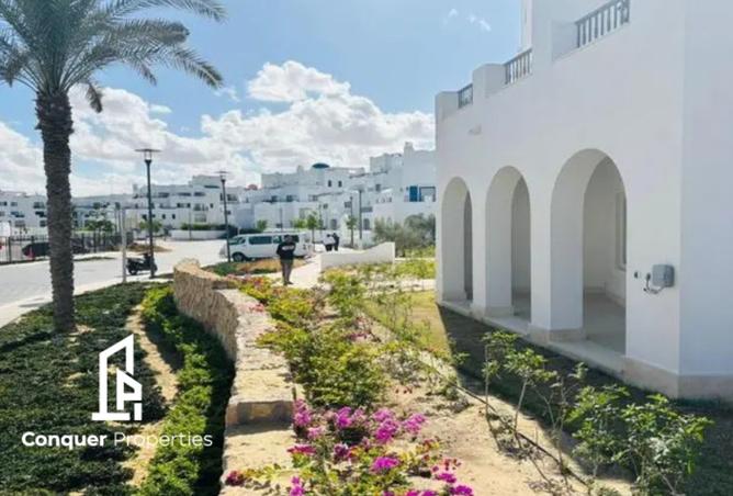 8242001 - صورة العقار 3