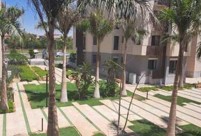 8397075 - Property Image 3