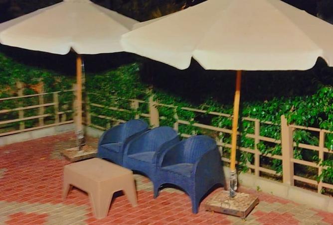 8184701 - صورة العقار 2