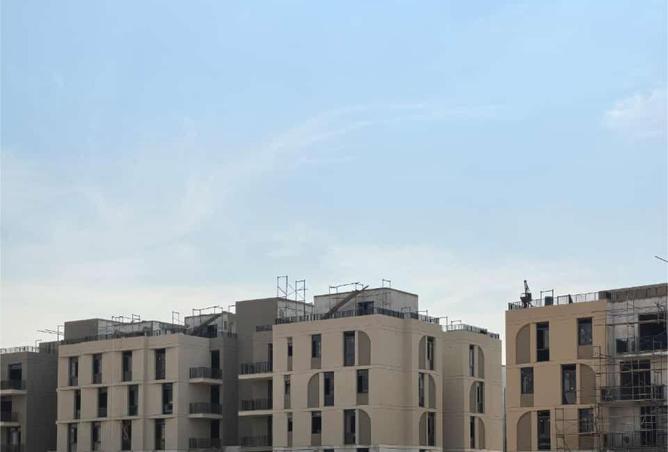 8031005 - صورة العقار 2