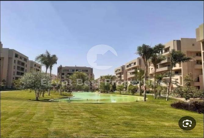 7978393 - صورة العقار 2