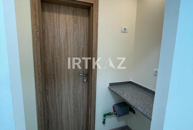 8081477 - Property Image 3