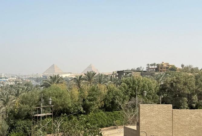 8303214 - صورة العقار 3