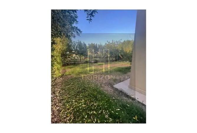 7989384 - Property Image 3