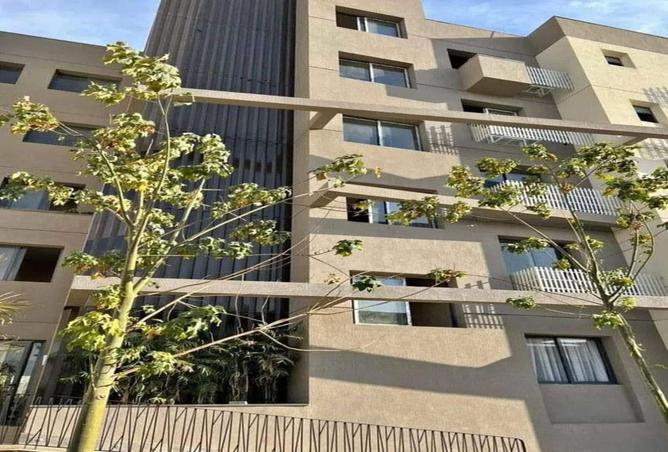 7944185 - Property Image 3
